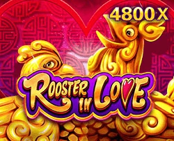 Rooster In Love - SPINBET123